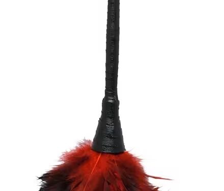 Frisky Feather Duster